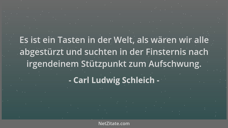 Carl Ludwig Schleich - Es ist ein Tasten in der Welt, als wären wir alle abgestürzt und suchten in der Finsternis nach irge...