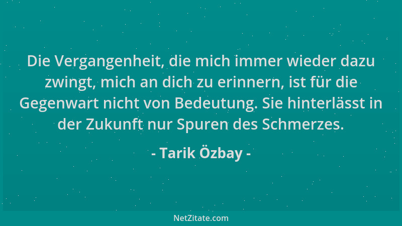 Tarik Özbay - Die Vergangenheit, die mich immer wieder dazu zwingt, mich an dich zu erinnern, ist für die Gegenwart nicht v...