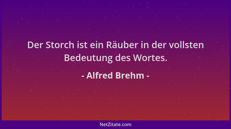 Alfred Brehm - Der Storch ist ein Räuber in der vollsten Bedeutung des Wortes....