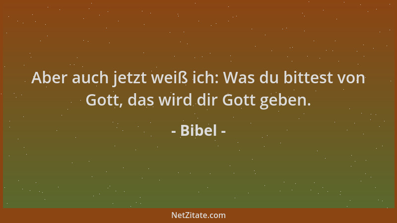 Bibel - Aber auch jetzt weiß ich: Was du bittest von Gott, das wird dir Gott geben....