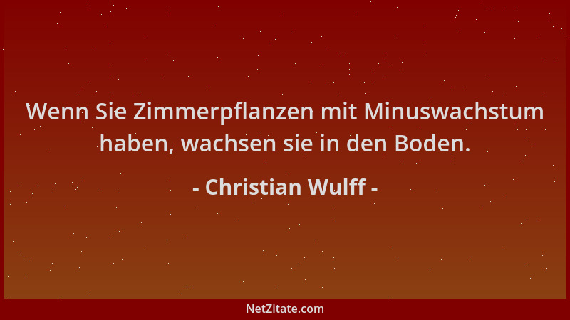 Christian Wulff - Wenn Sie Zimmerpflanzen mit Minuswachstum haben, wachsen sie in den Boden....