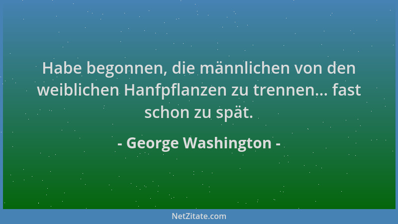 George Washington - Habe begonnen, die männlichen von den weiblichen Hanfpflanzen zu trennen... fast schon zu spät....