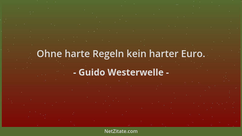 Guido Westerwelle - Ohne harte Regeln kein harter Euro....