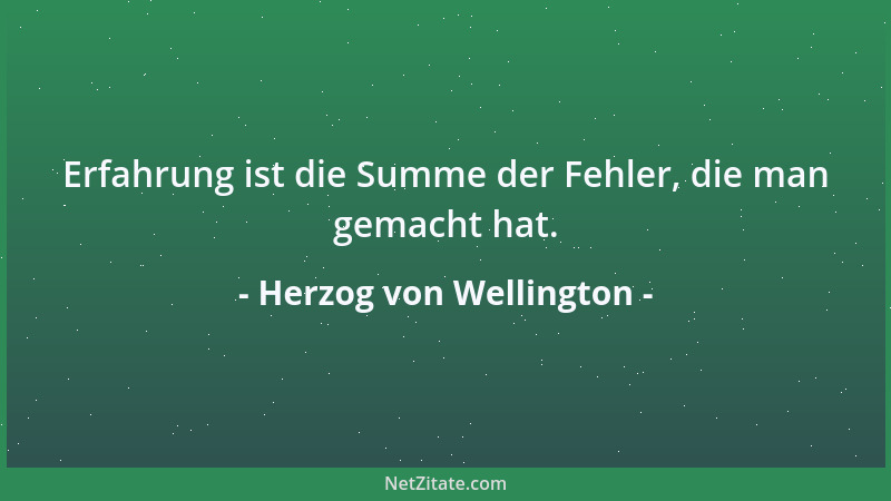 Herzog von Wellington - Erfahrung ist die Summe der Fehler, die man gemacht hat....