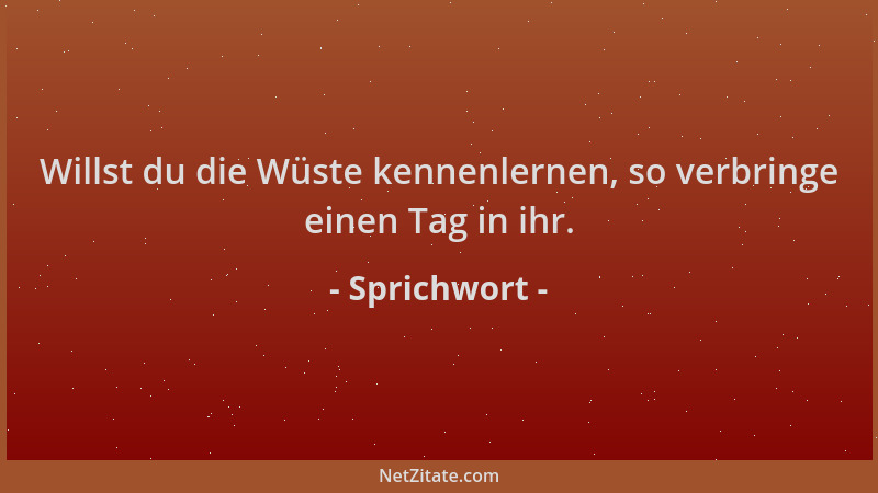 Sprichwort - Willst du die Wüste kennenlernen, so verbringe einen Tag in ihr....