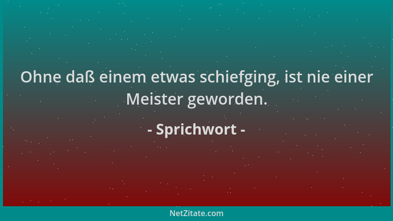 Sprichwort - Ohne daß einem etwas schiefging, ist nie einer Meister geworden....