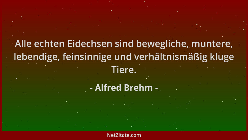Alfred Brehm - Alle echten Eidechsen sind bewegliche, muntere, lebendige, feinsinnige und verhältnismäßig kluge Tiere....
