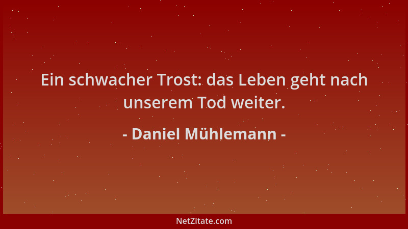 Daniel Mühlemann - Ein schwacher Trost: das Leben geht nach unserem Tod weiter....