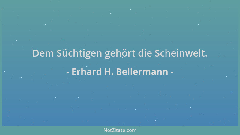 Erhard H. Bellermann - Dem Süchtigen gehört die Scheinwelt....