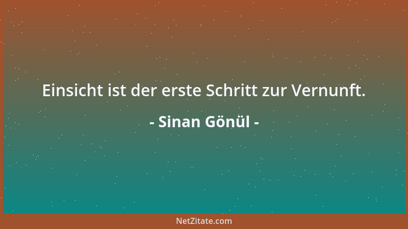 Sinan Gönül - Einsicht ist der erste Schritt zur Vernunft....