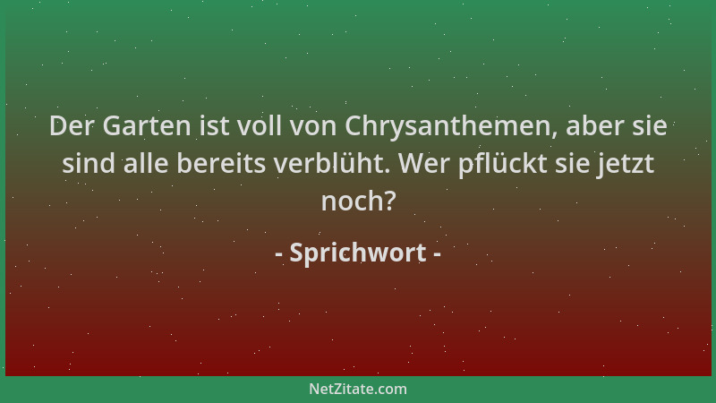 Sprichwort - Der Garten ist voll von Chrysanthemen, aber sie sind alle bereits verblüht. Wer pflückt sie jetzt noch?...