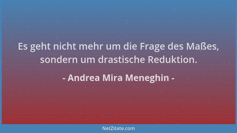 Andrea Mira Meneghin - Es geht nicht mehr um die Frage des Maßes, sondern um drastische Reduktion....