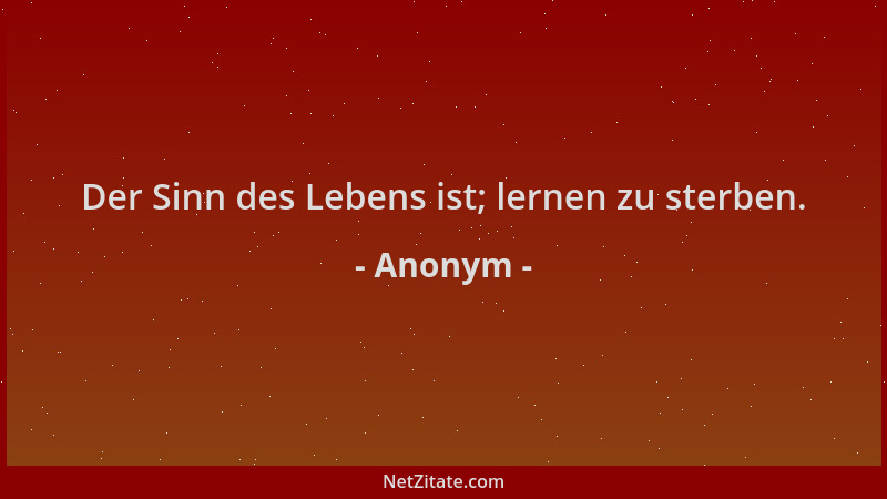 Anonym - Der Sinn des Lebens ist; lernen zu sterben....