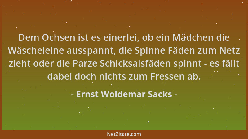Ernst Woldemar Sacks - Dem Ochsen ist es einerlei, ob ein Mädchen die Wäscheleine ausspannt, die Spinne Fäden zum Netz zieh...