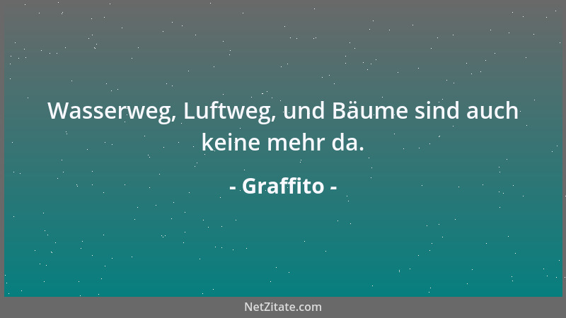 Graffito - Wasserweg, Luftweg, und Bäume sind auch keine mehr da....