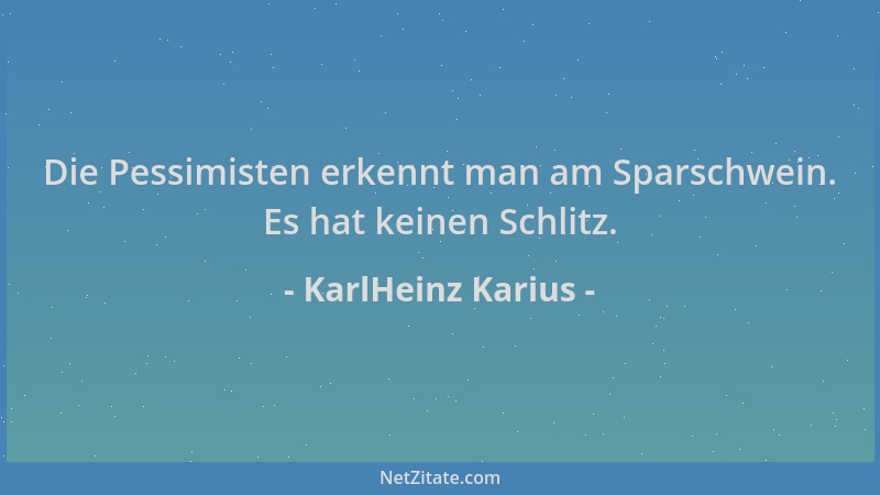 KarlHeinz Karius - Die Pessimisten erkennt man am Sparschwein. Es hat keinen Schlitz....