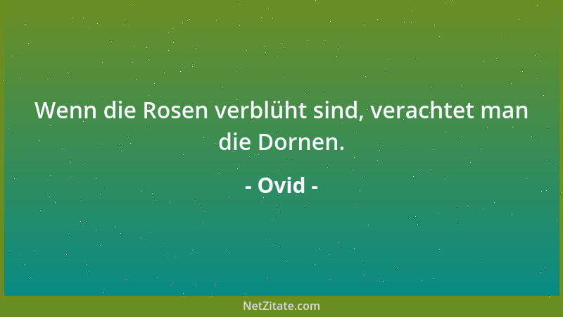 Ovid - Wenn die Rosen verblüht sind, verachtet man die Dornen....