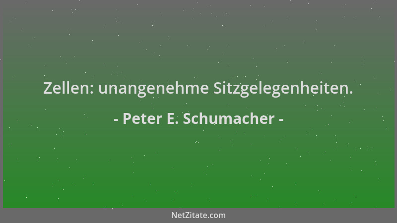 Peter E. Schumacher - Zellen: unangenehme Sitzgelegenheiten....