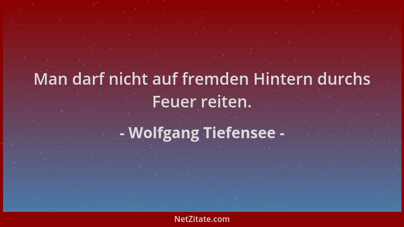 Wolfgang Tiefensee - Man darf nicht auf fremden Hintern durchs Feuer reiten....