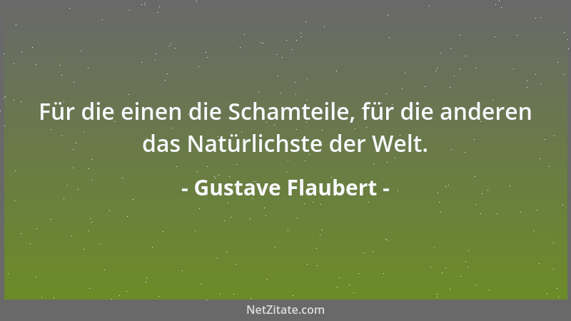 Gustave Flaubert - Für die einen die Schamteile, für die anderen das Natürlichste der Welt....