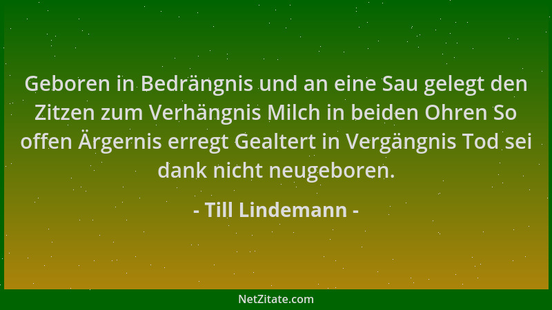 Till Lindemann - Geboren in Bedrängnis und an eine Sau gelegt den Zitzen zum Verhängnis Milch in beiden Ohren So offen Ärge...