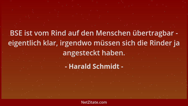 Harald Schmidt - BSE ist vom Rind auf den Menschen übertragbar - eigentlich klar, irgendwo müssen sich die Rinder ja angest...