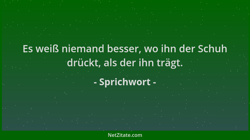 Sprichwort - Es weiß niemand besser, wo ihn der Schuh drückt, als der ihn trägt....