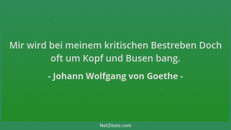 Johann Wolfgang von Goethe - Mir wird bei meinem kritischen Bestreben Doch oft um Kopf und Busen bang....