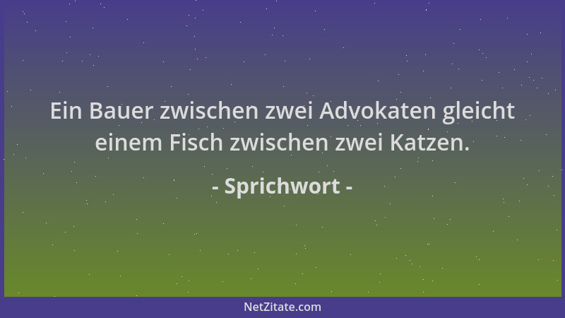 Sprichwort - Ein Bauer zwischen zwei Advokaten gleicht einem Fisch zwischen zwei Katzen....