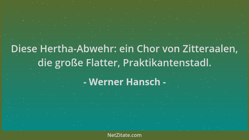 Werner Hansch - Diese Hertha-Abwehr: ein Chor von Zitteraalen, die große Flatter, Praktikantenstadl....