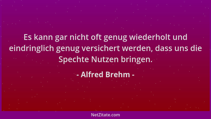 Alfred Brehm - Es kann gar nicht oft genug wiederholt und eindringlich genug versichert werden, dass uns die Spechte Nutzen...