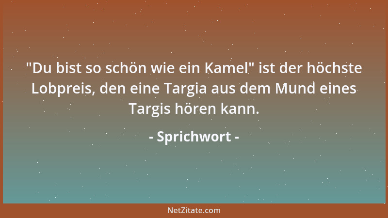 Sprichwort -  "Du bist so schön wie ein Kamel " ist der höchste Lobpreis, den eine Targia aus dem Mund eines Targis hören kan...