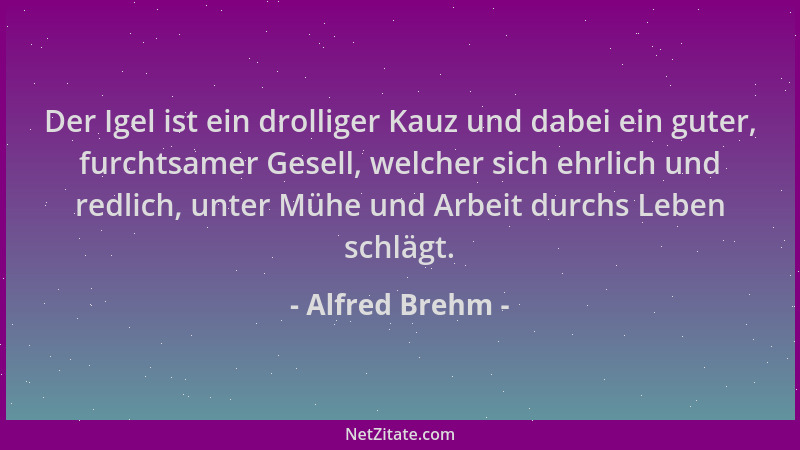 Alfred Brehm - Der Igel ist ein drolliger Kauz und dabei ein guter, furchtsamer Gesell, welcher sich ehrlich und redlich, u...