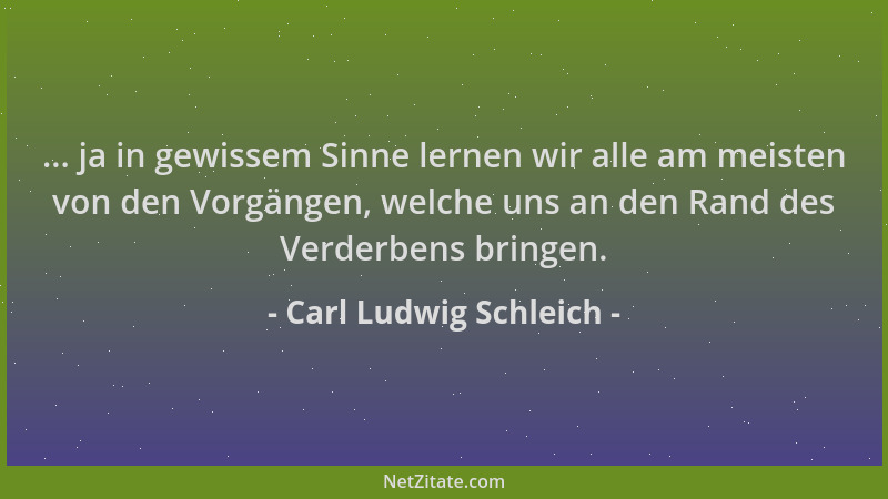 Carl Ludwig Schleich - ... ja in gewissem Sinne lernen wir alle am meisten von den Vorgängen, welche uns an den Rand des Ve...