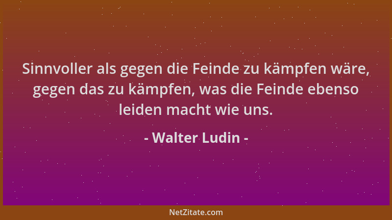 Walter Ludin - Sinnvoller als gegen die Feinde zu kämpfen wäre, gegen das zu kämpfen, was die Feinde ebenso leiden macht wi...