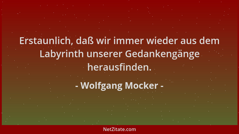 Wolfgang Mocker - Erstaunlich, daß wir immer wieder aus dem Labyrinth unserer Gedankengänge herausfinden....