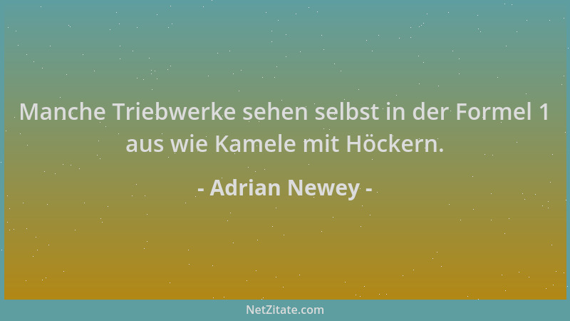Adrian Newey - Manche Triebwerke sehen selbst in der Formel 1 aus wie Kamele mit Höckern....