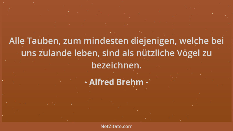 Alfred Brehm - Alle Tauben, zum mindesten diejenigen, welche bei uns zulande leben, sind als nützliche Vögel zu bezeichnen....