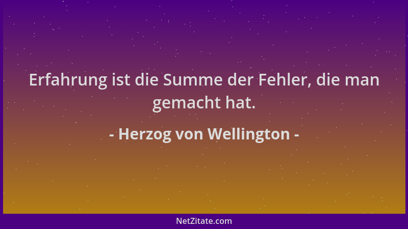 Herzog von Wellington - Erfahrung ist die Summe der Fehler, die man gemacht hat....