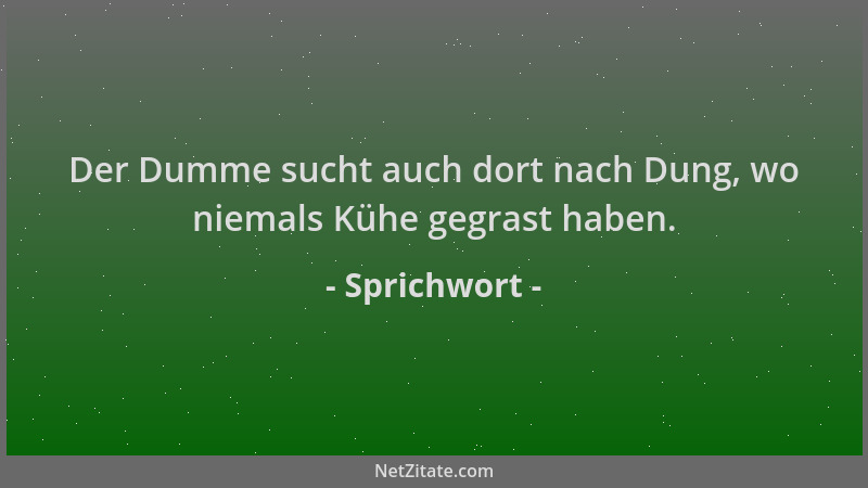 Sprichwort - Der Dumme sucht auch dort nach Dung, wo niemals Kühe gegrast haben....