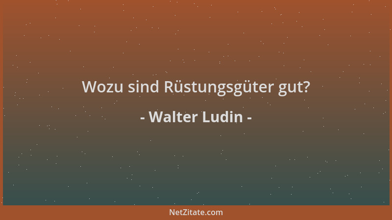 Walter Ludin - Wozu sind Rüstungsgüter gut?...