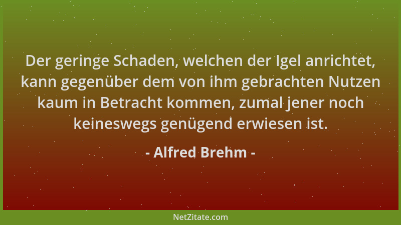 Alfred Brehm - Der geringe Schaden, welchen der Igel anrichtet, kann gegenüber dem von ihm gebrachten Nutzen kaum in Betrac...