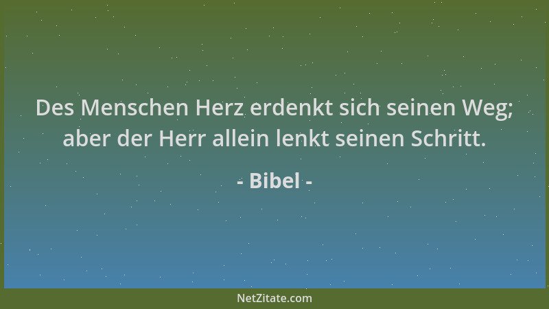 Bibel - Des Menschen Herz erdenkt sich seinen Weg; aber der Herr allein lenkt seinen Schritt....