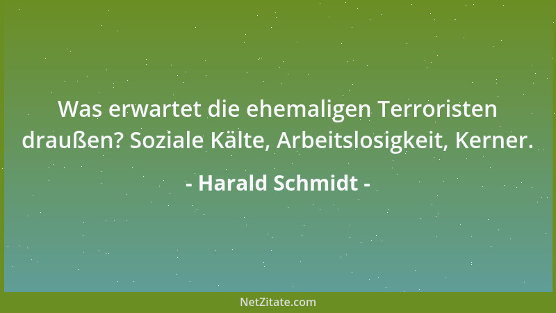 Harald Schmidt - Was erwartet die ehemaligen Terroristen draußen? Soziale Kälte, Arbeitslosigkeit, Kerner....