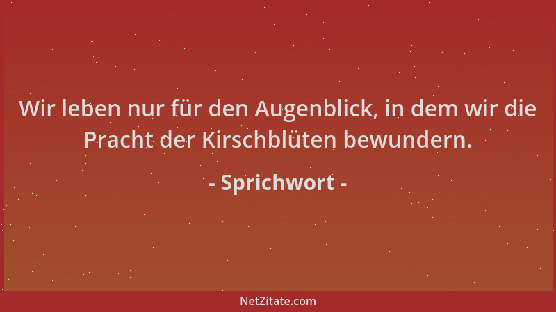Sprichwort - Wir leben nur für den Augenblick, in dem wir die Pracht der Kirschblüten bewundern....