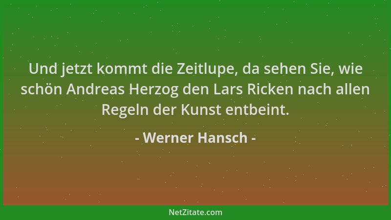 Werner Hansch - Und jetzt kommt die Zeitlupe, da sehen Sie, wie schön Andreas Herzog den Lars Ricken nach allen Regeln der...