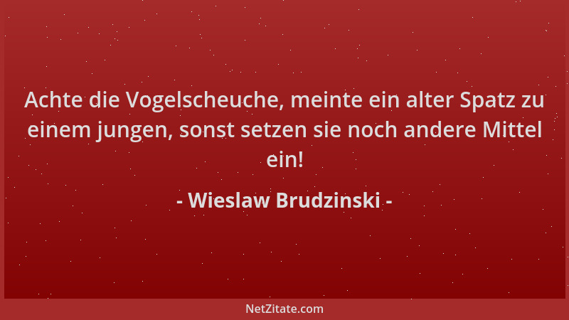 Wieslaw Brudzinski - Achte die Vogelscheuche, meinte ein alter Spatz zu einem jungen, sonst setzen sie noch andere Mittel e...