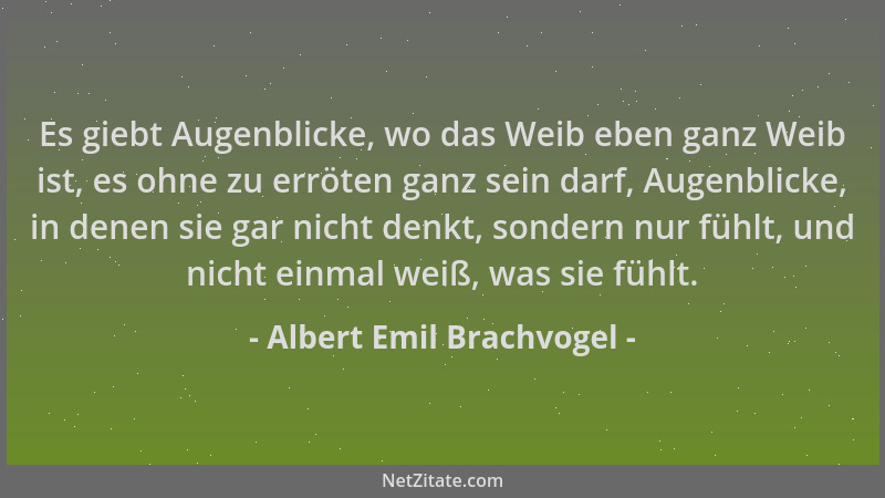 Albert Emil Brachvogel - Es giebt Augenblicke, wo das Weib eben ganz Weib ist, es ohne zu erröten ganz sein darf, Augenblic...