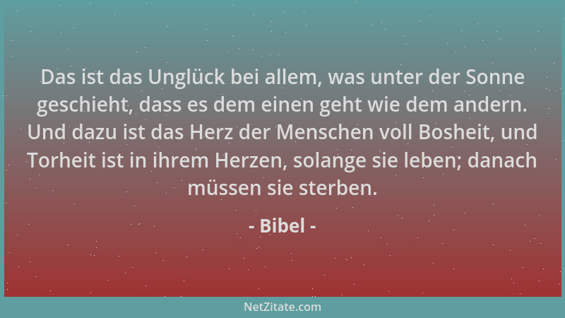 Bibel - Das ist das Unglück bei allem, was unter der Sonne geschieht, dass es dem einen geht wie dem andern. Und dazu ist d...