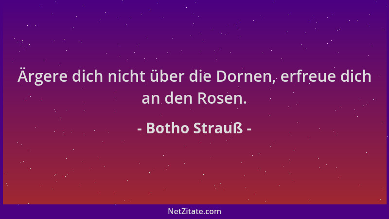 Botho Strauß - Ärgere dich nicht über die Dornen, erfreue dich an den Rosen....